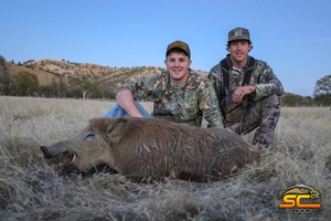 Luke's Wild Boar during a Black Bear/Wild Pig Combination Hunt